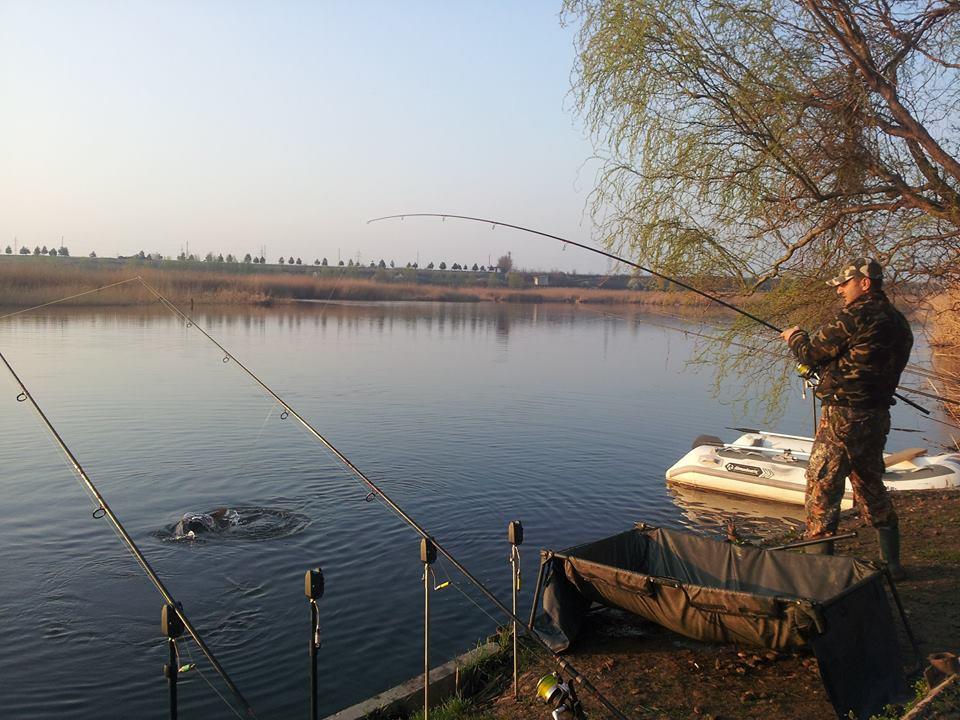 Tancabesti 28 - 29 mar. - 101516926602039406940771449581440n.jpg